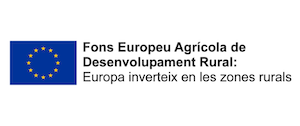 Logo Fons Europeu