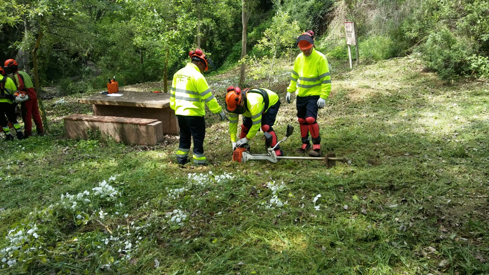Brigada CCP.jpg Brigada CCP.jpg