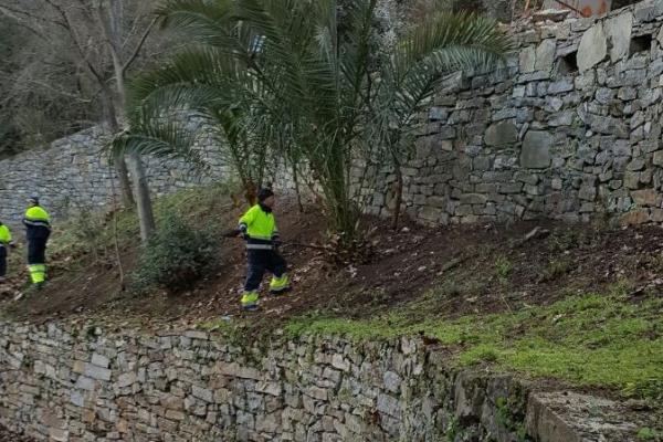 Programa Treball i Formació Consell Priorat 3.jpg