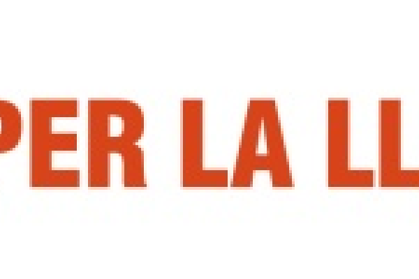 logo VxL.png
